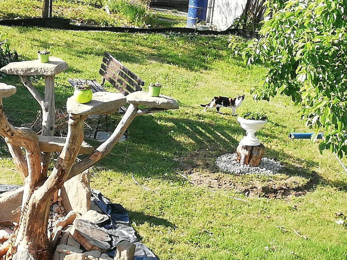 Apartmany Mk U Modre Kocky Nové Hrady Zewnętrze zdjęcie