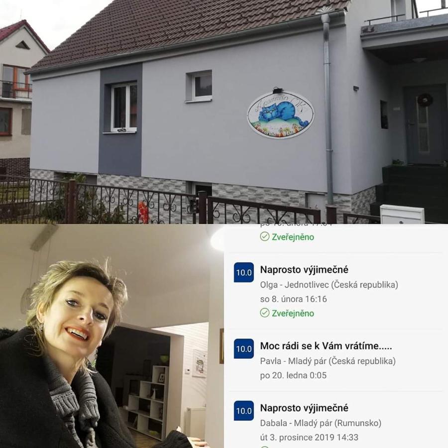 Apartmany Mk U Modre Kocky Nové Hrady Zewnętrze zdjęcie